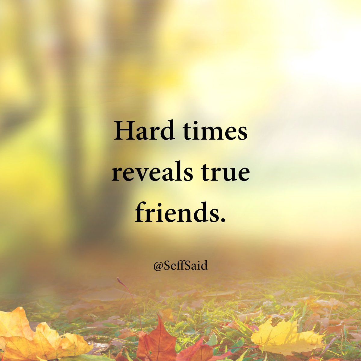 SeffSaid's tweet photo. True https://t.co/JlbTEwFuuR