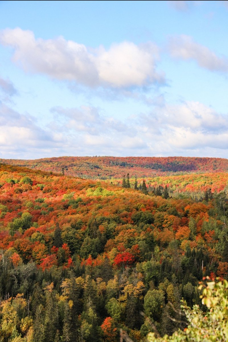 Ali (Haws) Weideman tweet media