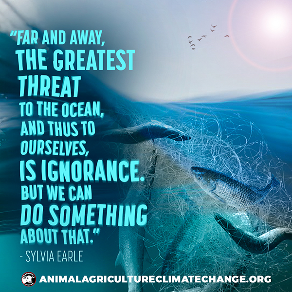The greatest threat to our oceans is us. Overfishing, climate change, plastic pollution, animal agriculture... 😞

Therefore, the best thing anyone can do to save our seas is to go vegan. And spread the word! 🙏🌱🌱

#saveouroceans #oceans #seafood #climatecrisis #goVegan #fish