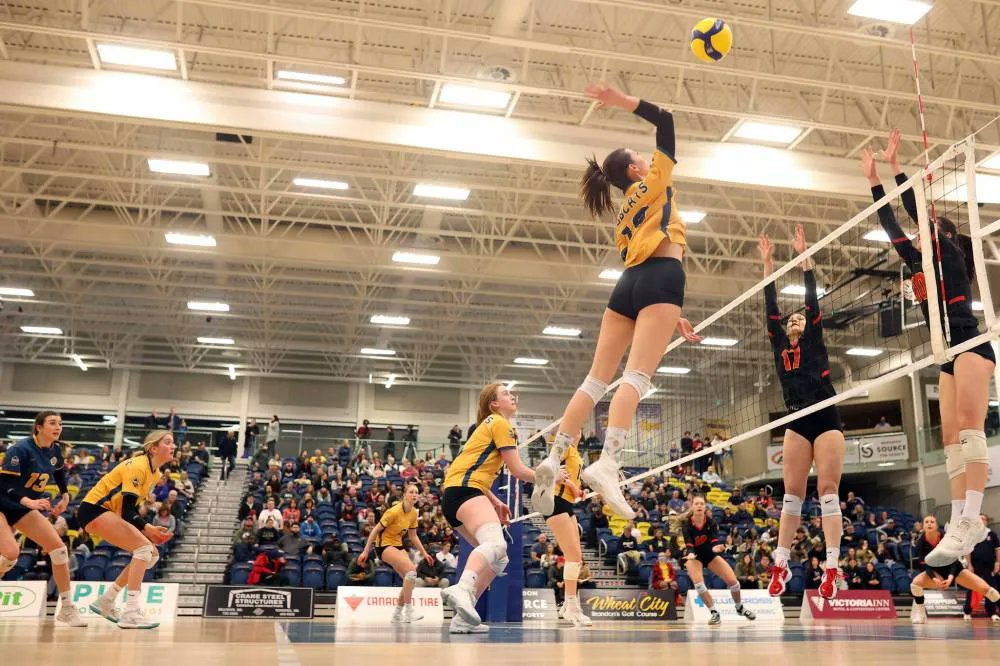 thebrandonsun's tweet photo. Brandon University says it has started to make changes to its athletics program following an independent review of the department conducted last year, which was released on Monday. https://t.co/GNM4RYuDiv #bdnmb https://t.co/T8iiwAtyT5