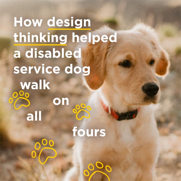 For Tiny, the disabled dog, becoming a service dog was out of reach until #DesignThinking came to the rescue! 
Check out the story of how design thinking helped a service dog walk on all fours.
ow.ly/Ym5o50NbrZc

#CustomerCentricity
#Innovation
