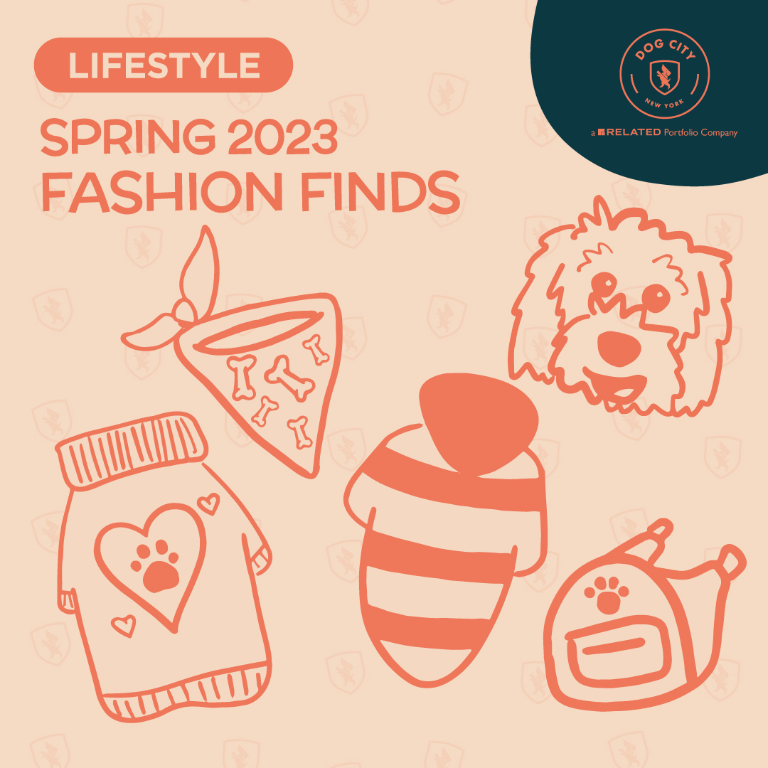 DogCityNYC's tweet image. dogcitynyc.com/spring-2023-fa…

#dogblog #dogcitynyc #dogdaycare #dogwalking #doggrooming #dogboarding #dogtransportation