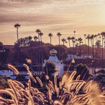 Photo by Encinitas Fish Shop (@EncinitasFS)