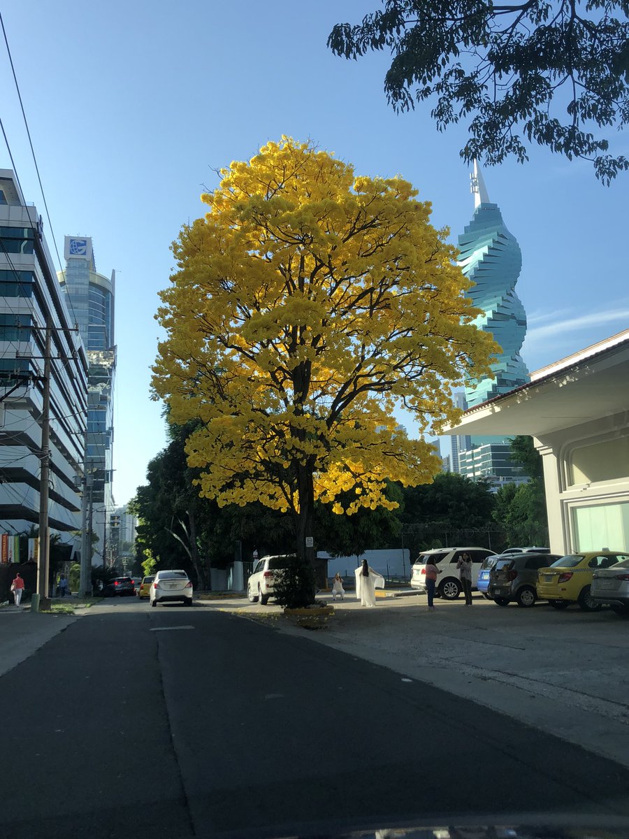 CarAlbPerH1's tweet photo. La tomé hoy…la grandeza de la naturaleza y, atrás, el ingenio sorprendente del ser humano…así es nuestra ciudad… https://t.co/HktTpnFNUQ