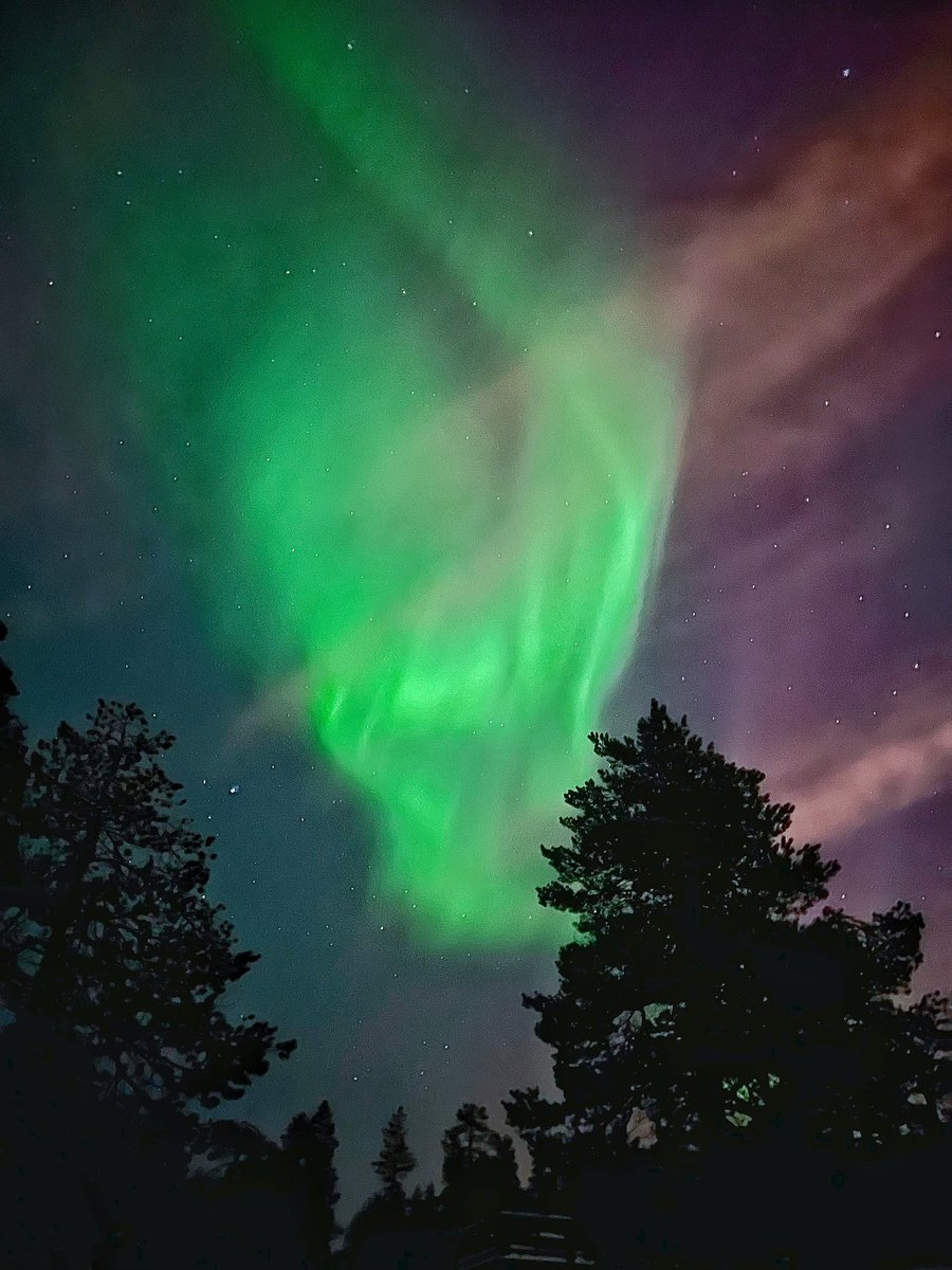 MadamePimpon's tweet image. Et j’ai dit oui en Laponie 🤍