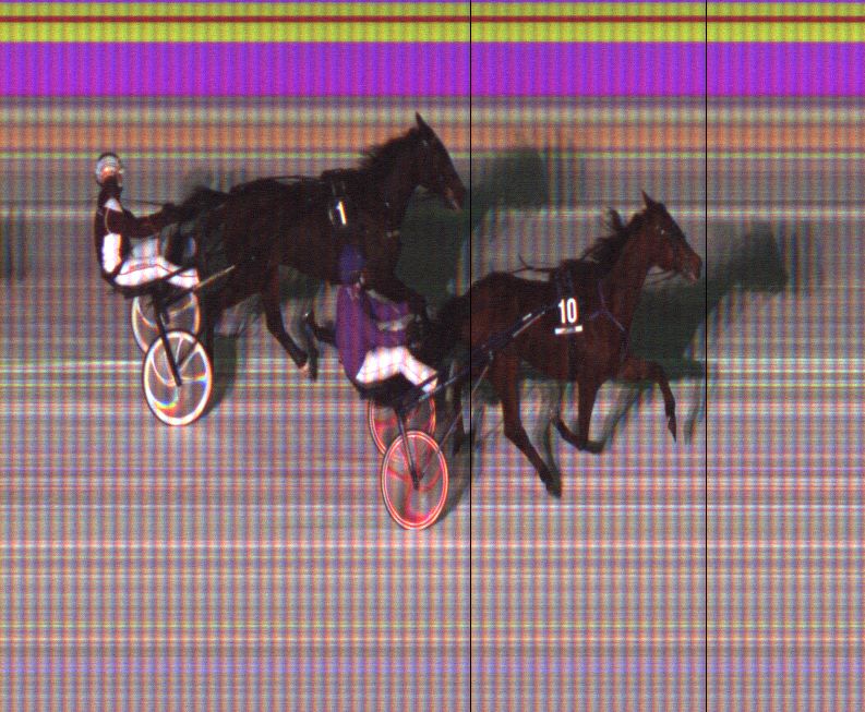 killerinravit's tweet photo. Kuudennen lähdön voittoon 10 Brixen &amp; Aaro Hautamäki. Kari Lehtonen treenaa. Onnea! #ravit #killeri https://t.co/S2WhXM19ss