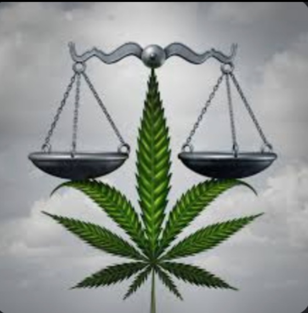 LvValiant's tweet photo. #MedicalMarijuana is Homeostasis

                   💚Balanced💚

Live Well. #Elevate 
#LiveValiant https://t.co/dXe1OKD20j