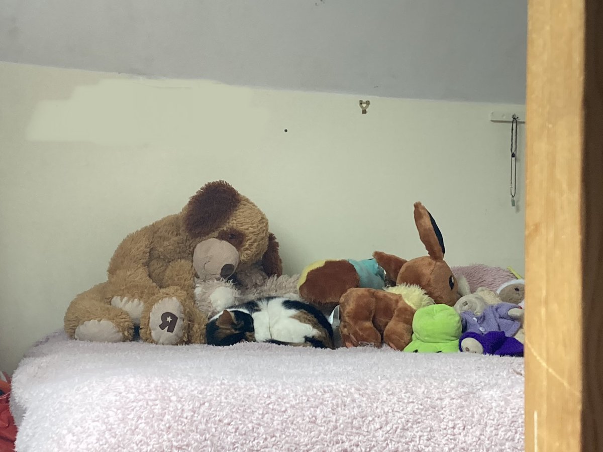 Jost an pile of cogoly toys