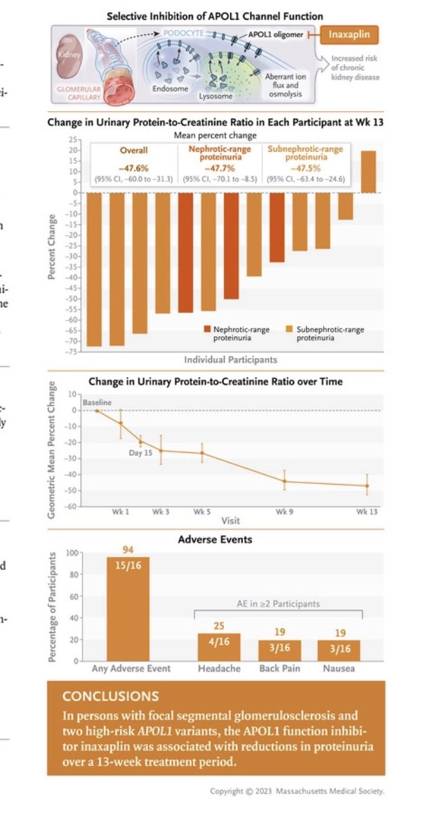“Inaxaplin for Proteinuric #Kidney Disease in Persons with 2 #APOL1 Variants”

nejm.org/doi/full/10.10…

<a href="/kirkcampbell/">Kirk Campbell</a> <a href="/DOMSinaiNYC/">Mount Sinai Department of Medicine</a> <a href="/IcahnMountSinai/">Icahn School of Medicine at Mount Sinai</a> <a href="/NEJM/">NEJM</a> 

#Nephrology