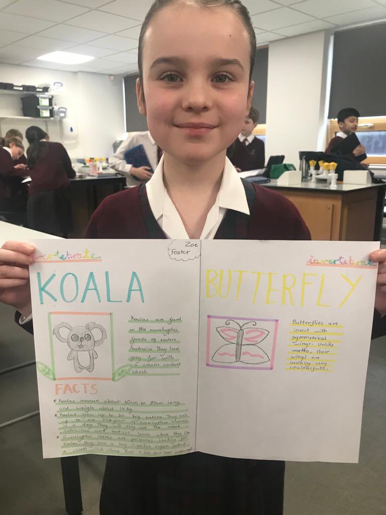 BromsPrep's tweet photo. Great work in Year 6 Science this morning with Zoe F, Avani P and Isabelle M showing off their work on vertebrates and invertebrates. #BromsYr6 #BromsScience https://t.co/lBvHwievyf