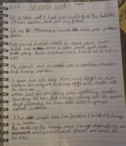 AshBrambles's tweet photo. Year 4 Ash have been participating in British Science Week #BSW2023 at home over the last couple of days.👩🔬 Lilah has investigated the habitats of bees in the local area before researching further into the endangered species🐝and AH made his own hot air balloon! #BramblesScience https://t.co/UOHbz42035