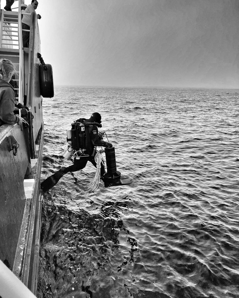 DiveXtras's tweet photo. A scooter is a diver's best friend 💙
🔁: @ kikigoscuba on Instagram
📷: @ kikigoscuba on Instagram
🤿: @ fl_tekdiver on Instagram
#divextras #divex #dive #diving #dpv #cudax #exploration #scuba https://t.co/7ry1ThpiEq