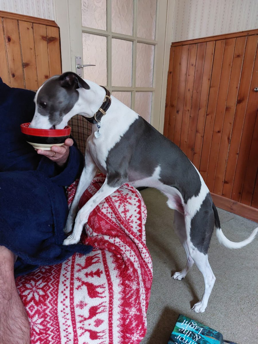 Getting the old snout into something - always a good moment!!