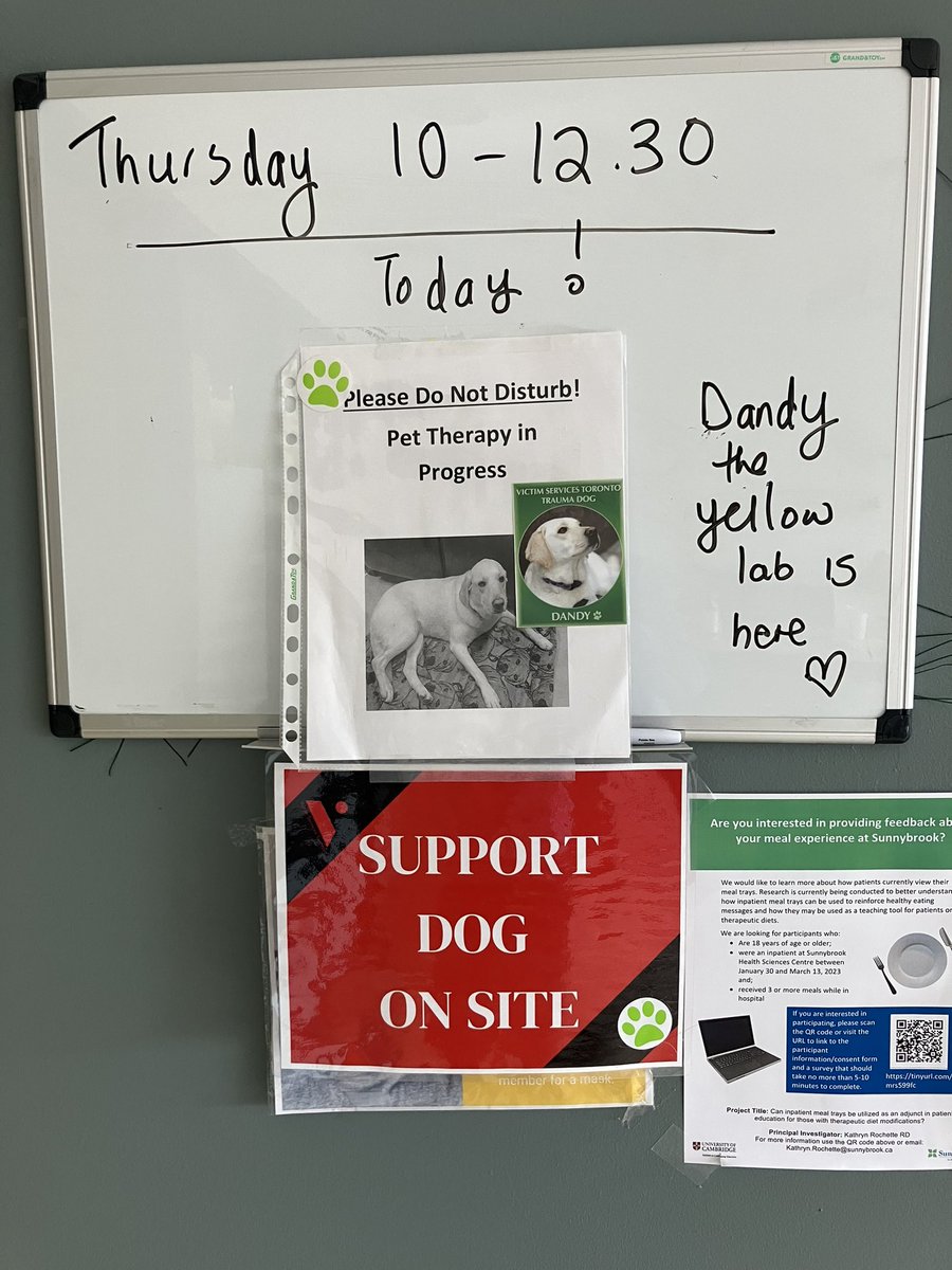 RomanandDandy's tweet photo. Every week Dandy goes to the Sunnybrook Health Sciences Centre to provide comfort and support to patients who are there for long term recovery from severe traumas. Dandy always bring smiles and good feelings! @Sunnybrook #dogsofinstagram #traumadogs https://t.co/8zh5kWX2Ij