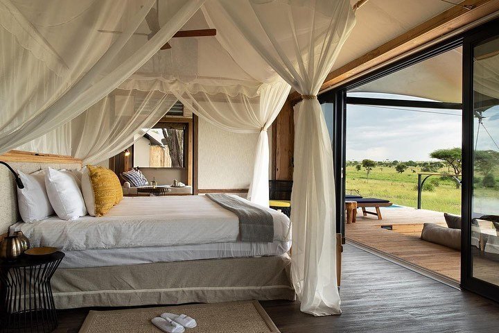 africamarula_AF's tweet photo. 10-Day #Luxury #Tented #Lodge #Safari Northern Circuit 
.
From the beautiful #View of Mount Meru captured at #Arusha National Park on day 1, to the endless plains of the #Serengeti
#tanzaniaunforgettable  #tanzania #Travel #africa #adventure #serengetinationalpark #holidayseason https://t.co/LByzMjhhfL