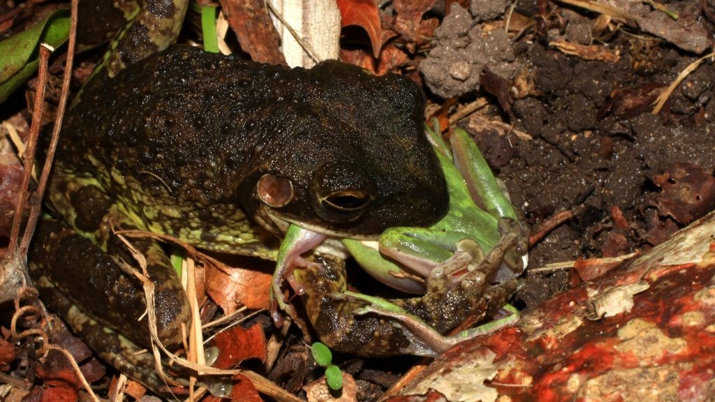 Southeast CASC tweet media