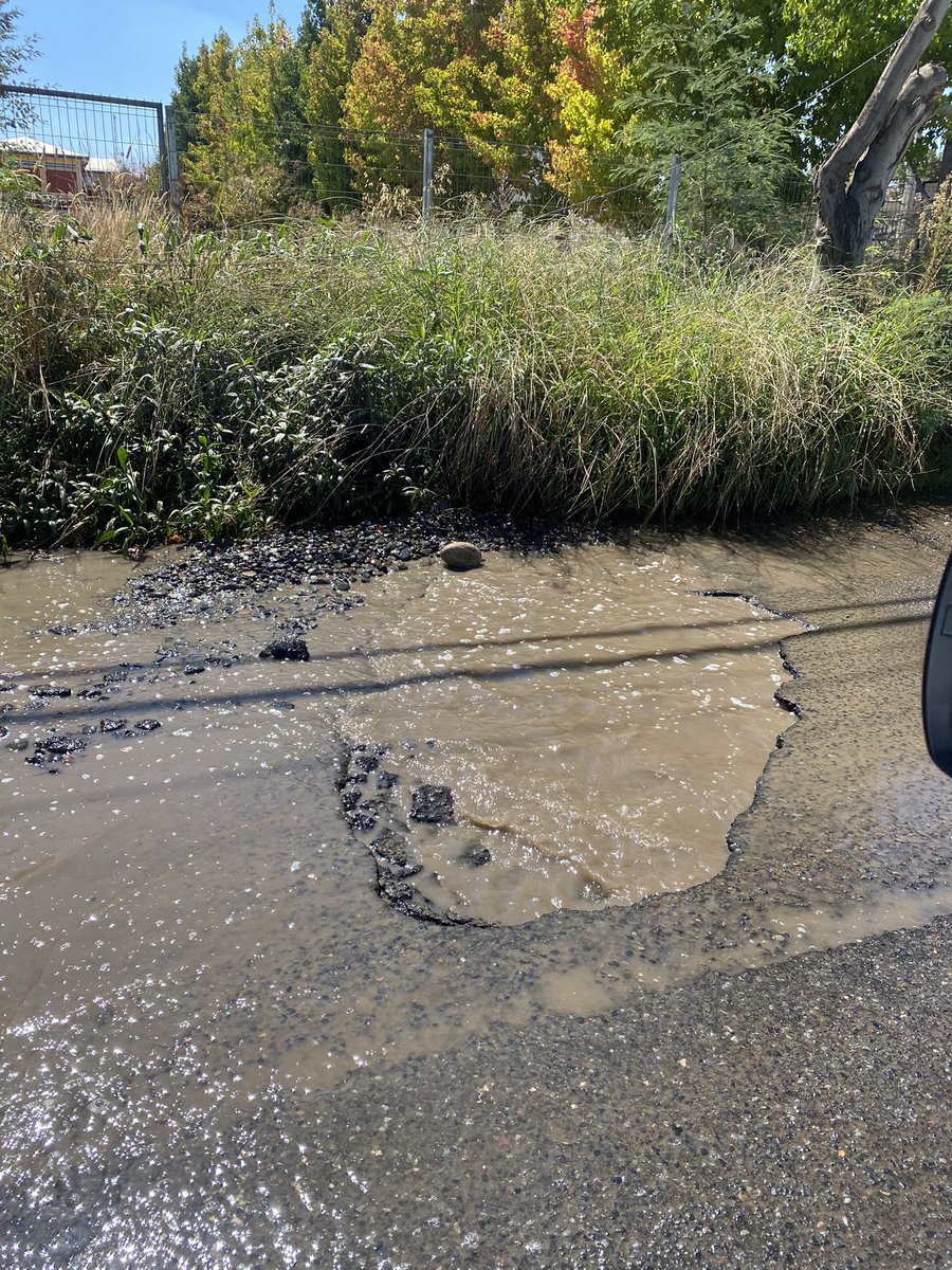 _chicadehumo_'s tweet image. #talca @EnLineaMaule @FmMas923 @RADIOPALOMAFM @MauleNoticias @IMTalca este EVENTo está generando daños tremendos a los vehículos que circulan por 5 norte al exterior del colegio san Agustín @biobio #permisodecirculacion #talquinos @Emergencytalca @Talca_alerta