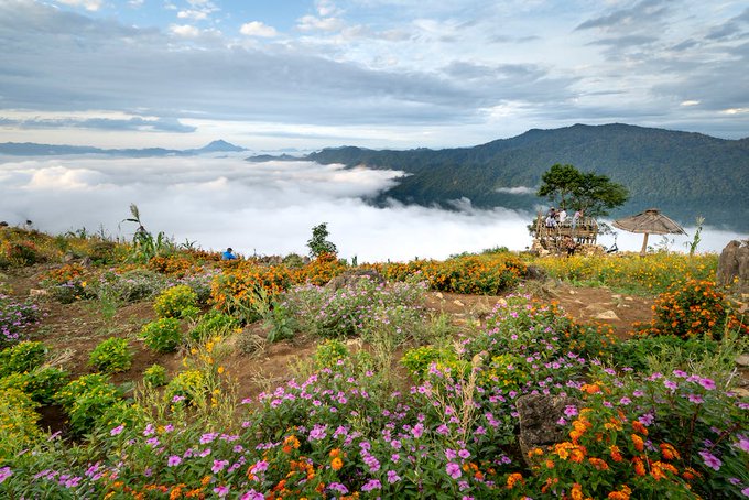 🌿 Our future depends on the survival of #biodiversity. So how can businesses participate in #BiodiversityConservation, and what successful case studies have we already seen? Find out in this Business Handbook: ow.ly/BfFS50MyJYQ @wbcsd @WWF @IUCN Via @BfNCoalition