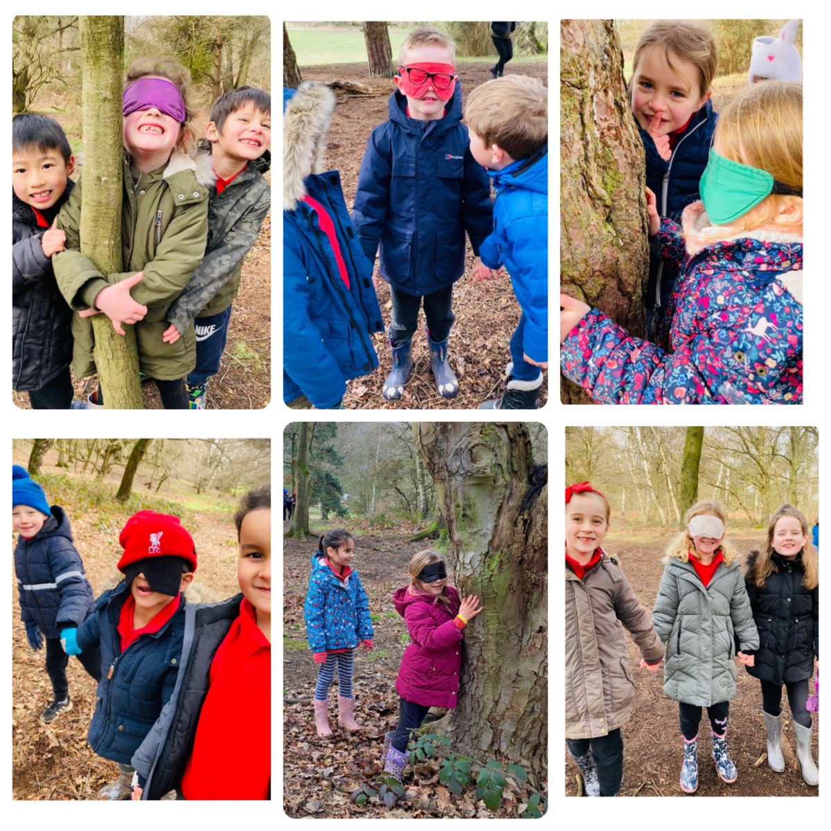 This game of 'find my tree' enhanced our senses and involved lots of trust in one another! We used clear instructions and teamwork to direct our blindfolded team members to different trees in the forest. 🌲🐿