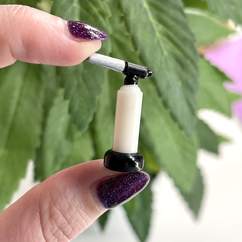 Corals Tiny World tweet media