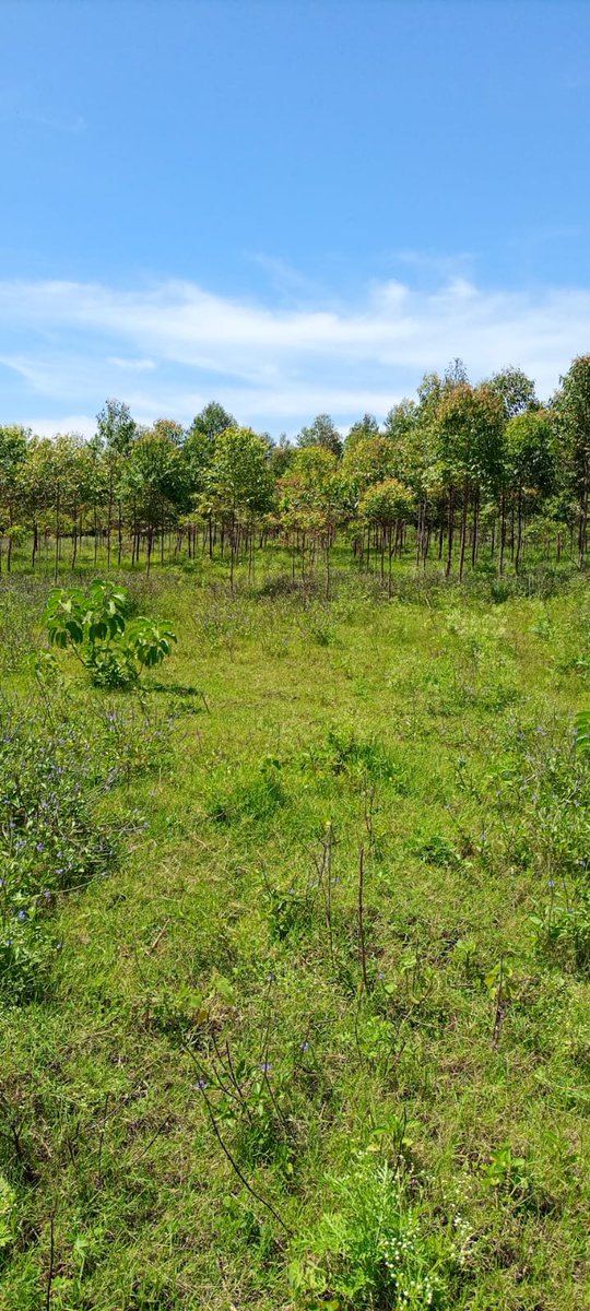0eeroproject's tweet photo. @ChalroRanch. Thank you for a GREAT discussion together. 

Congratulations on your #sustainable best practices. Seedlings, Nursery, Goat Pasture, Manure Fertilizer &amp; more. 

All actions that deliver #COP15 #30x30.

We could not be prouder to welcome you to @0eeroproject. https://t.co/aoe0t3B2j0