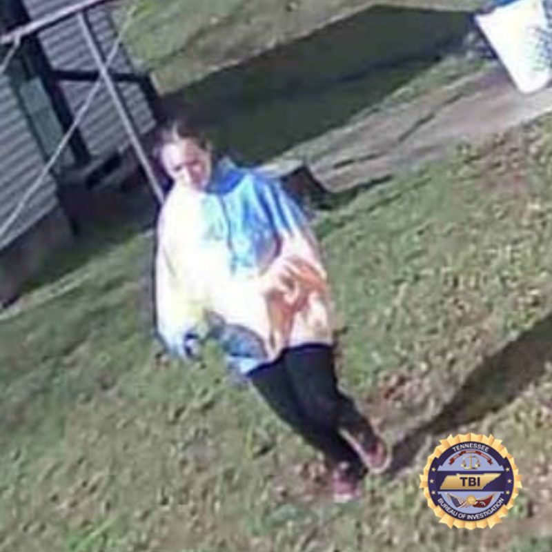 TBInvestigation's tweet image. Aaliyah is 5’1, 140 lbs. with red hair and green eyes.

She was last seen wearing a tie-dye hoodie, black leggings, and pink and black sneakers.

If have seen Aaliyah or can assist in locating her contact Benton Co. SO at 731-584-4632 or TBI at 1-800-TBI-FIND.