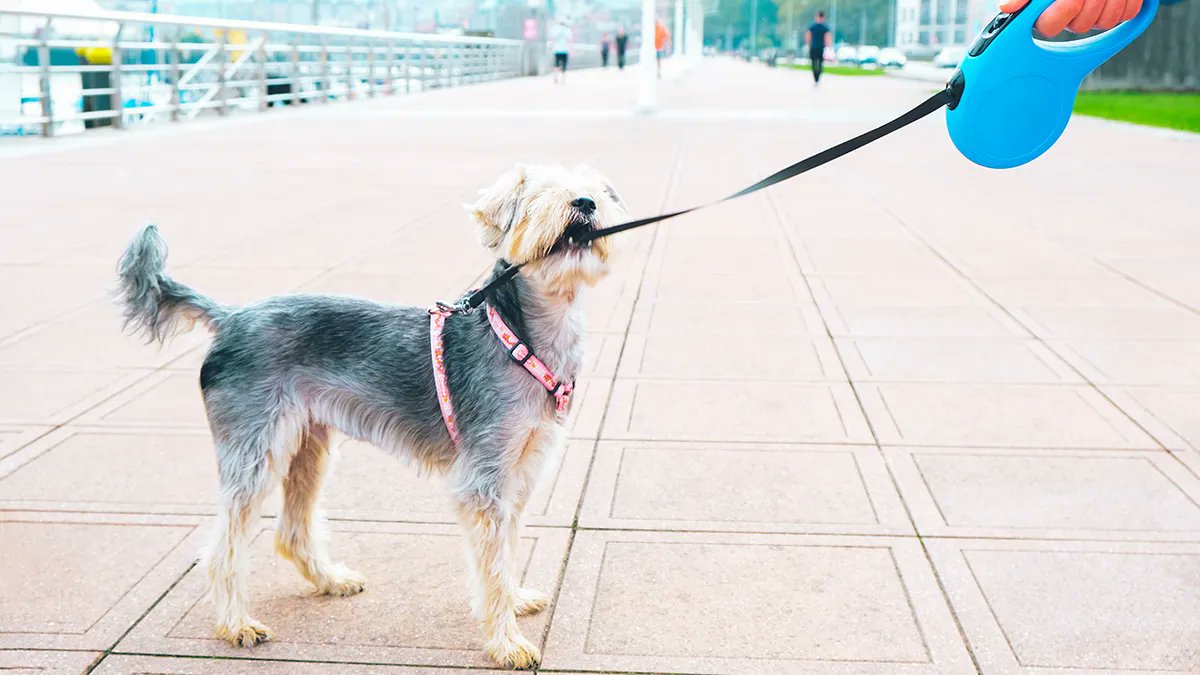 Jake Croman tweet media