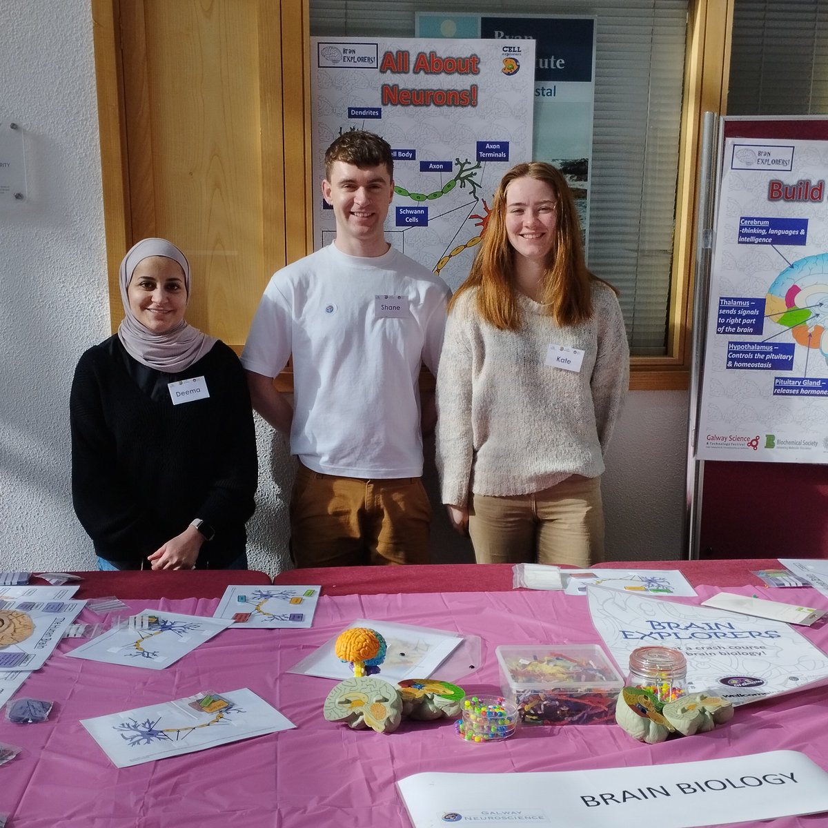 Cellexplorers's tweet image. Thank you @shanecrinion &amp;amp; Deema from Derek Morris&apos;lab for hosting 170 TYs with #BrainExplorers activity at @GalwayNeuro #MyAmazingBrain exhibition. Great work with your co-facilitators Kate, Shane &amp;amp; Hannah 3rd year in Genetics&amp;amp;Genomics! #Sciencerolemodel #brainawarenessweek2023