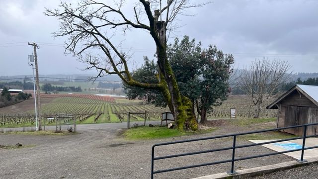 We're Back in Action! - mailchi.mp/66ae7efd83ff/m…