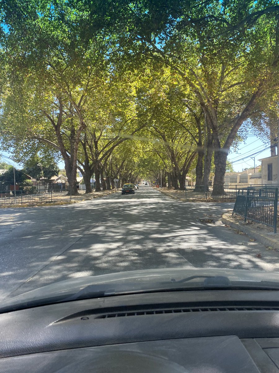 Peque ☀️ tweet media