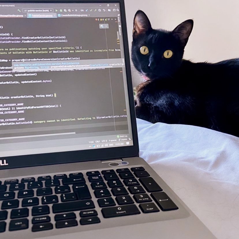 pikacodes's tweet photo. First tech job coding from my bed cause I had no desk or table in my tiny room vs now 🥹🐈‍⬛ https://t.co/AxFOBzXwBy