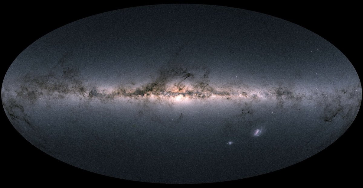 Kaley Brauer 💫 tweet media