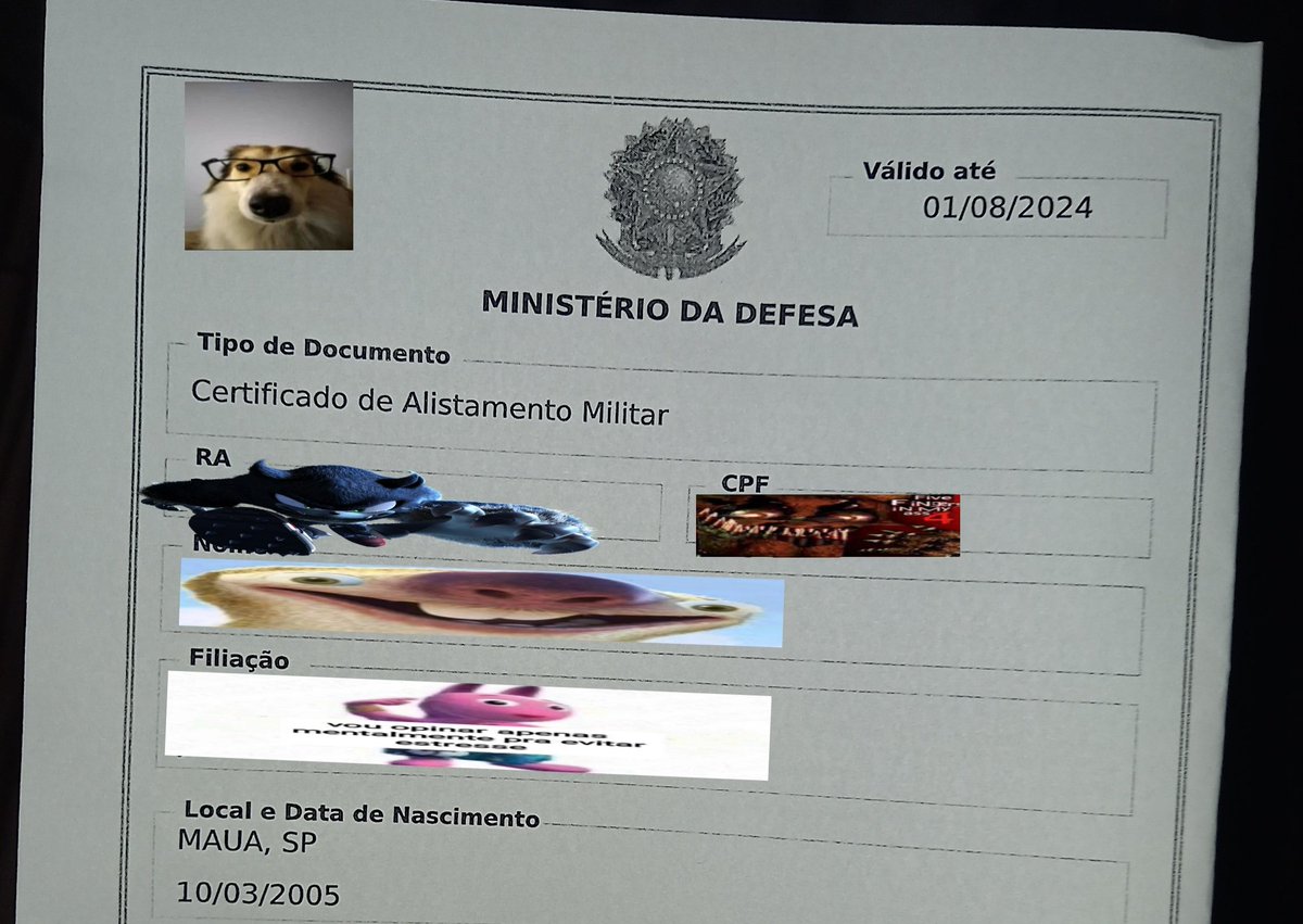 Egdyhog's tweet photo. Alistamento e título de eleitor tudo certo 👍 https://t.co/sZfnYX3Sc3