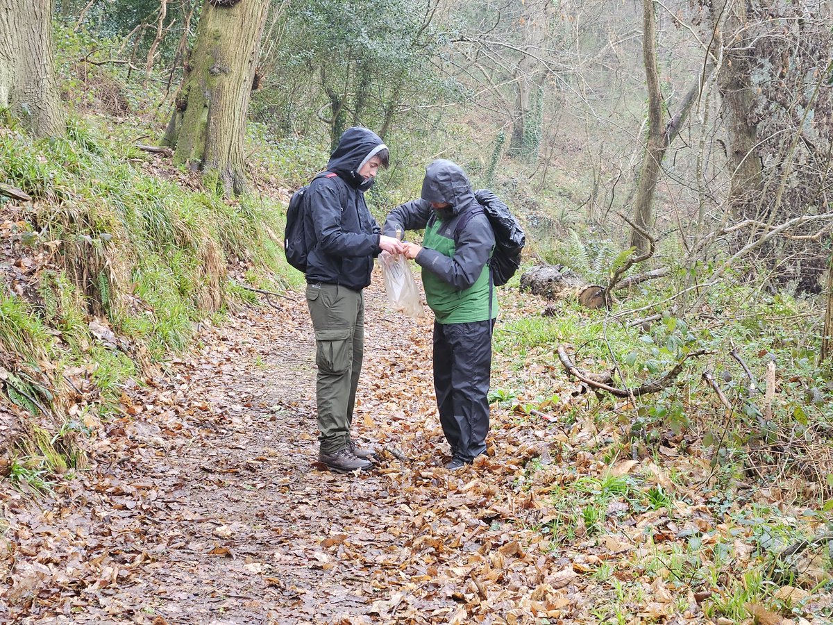 LVI Geography Fieldtrip...if you go down to the woods today....you're bound to see some carbon
<a href="/solsch1560/">Solihull School</a> #outdoorlearning <a href="/SolSchSixthForm/">Solihull School Sixth Form</a> #opportunity #solschgeography #Geography <a href="/FSCSlaptonLey/">FSC Slapton Ley</a> #NEA #funinthewoods