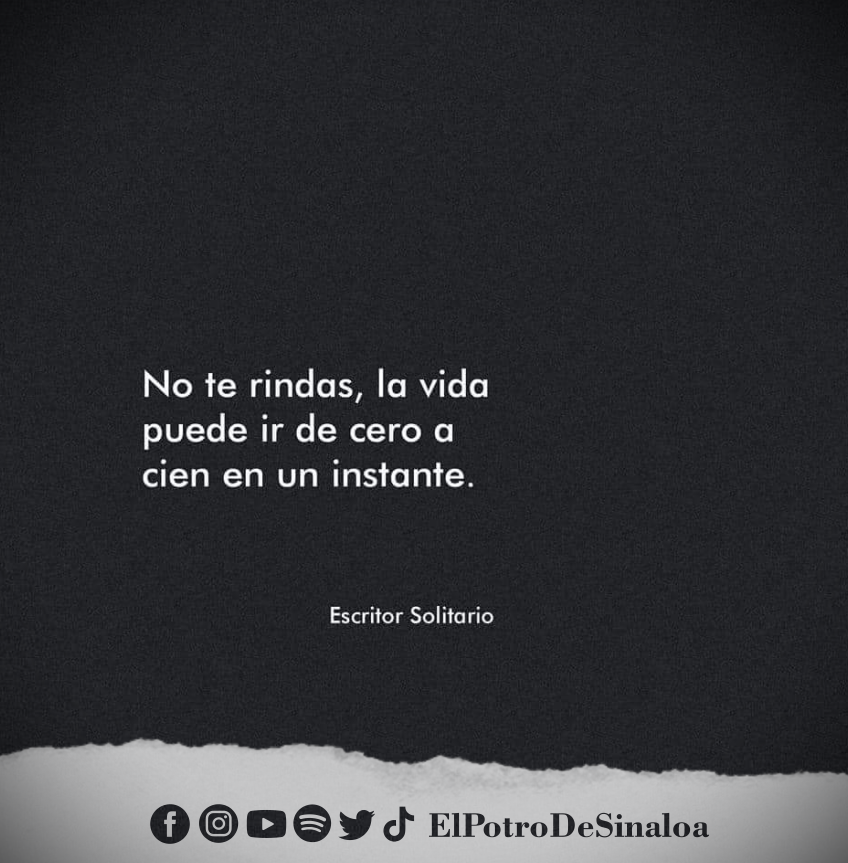 ElPotroDSinaloa's tweet photo. Sin rendirnos mi gente!! Por eso aquí andamos siempre al millón y pasadito 😎🐎🔥 https://t.co/rmuDwI66bC