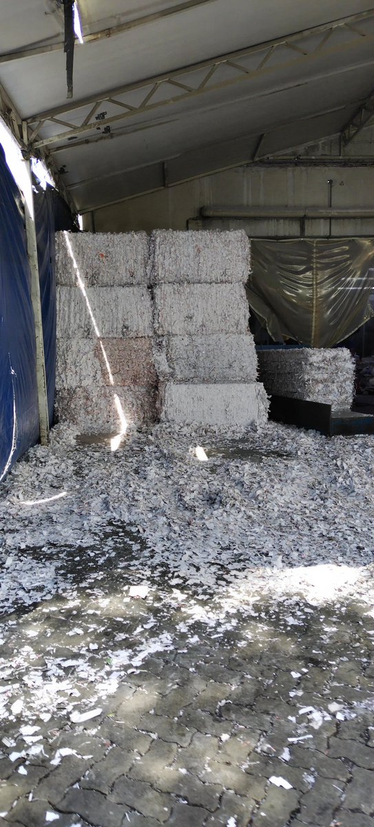 Patricio J. Gómez Garcés tweet media