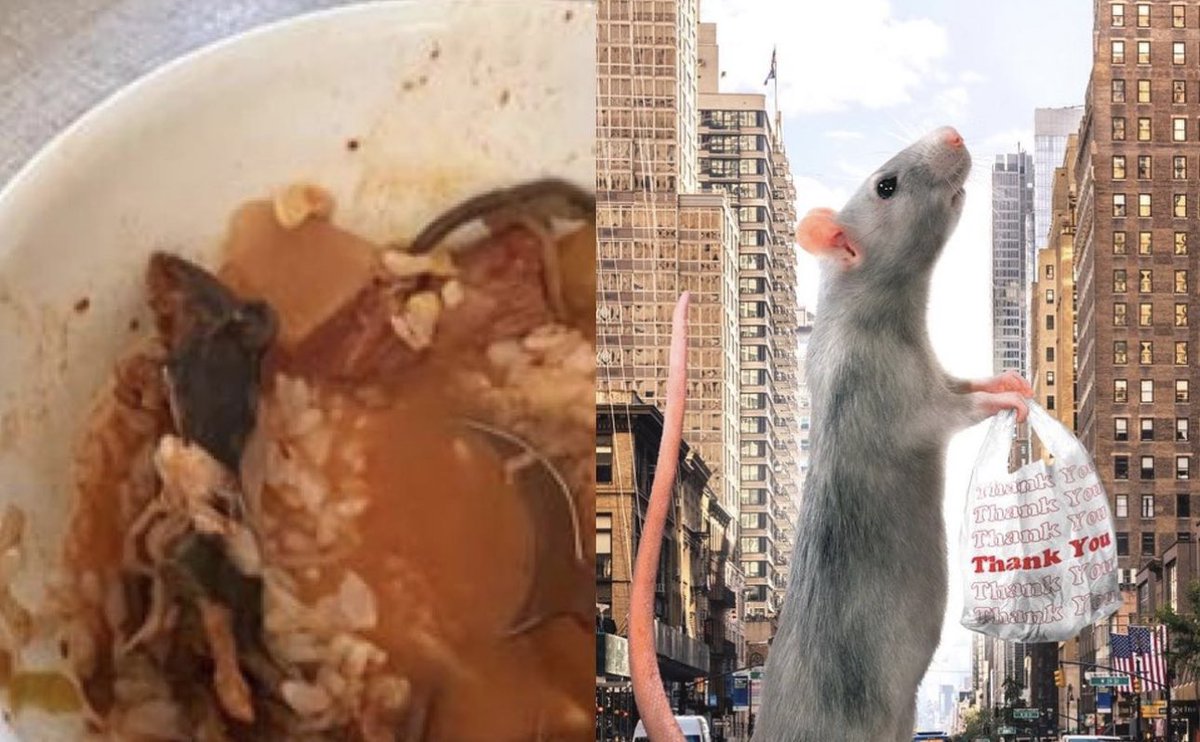 #PEEP COUPLE SUES NYC KOREAN RESTAURANT AFTER CLAIMING THEY FOUND RAT IN THE FOOD 🤢

Follow <a href="/WorldRareTV/">WorldRareTv 💫</a>  for more!