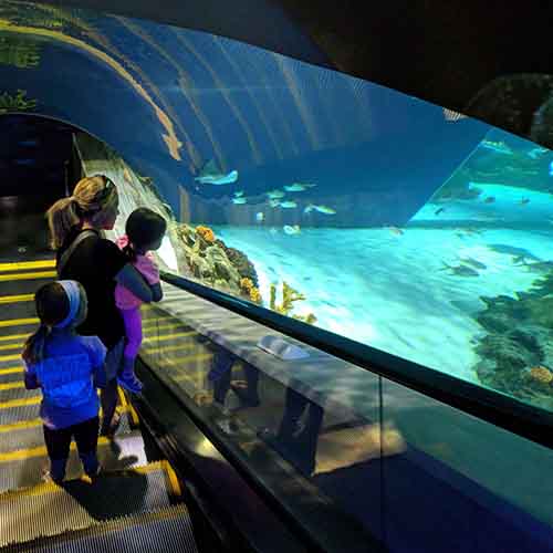 TurquoiseAZ's tweet image. A Family Guide to Scottsdale: 15 Fun Activities For All Ages
#scottsdale #Arizona #airbnb #familytravel 
turquoisehousescottsdale.com/en/family-guid…