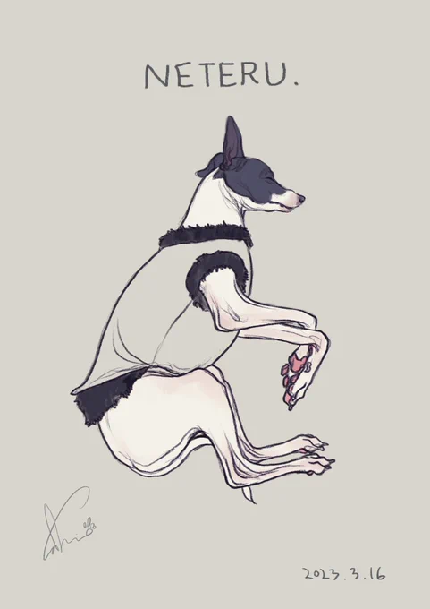 今日の愛犬を描きました。 