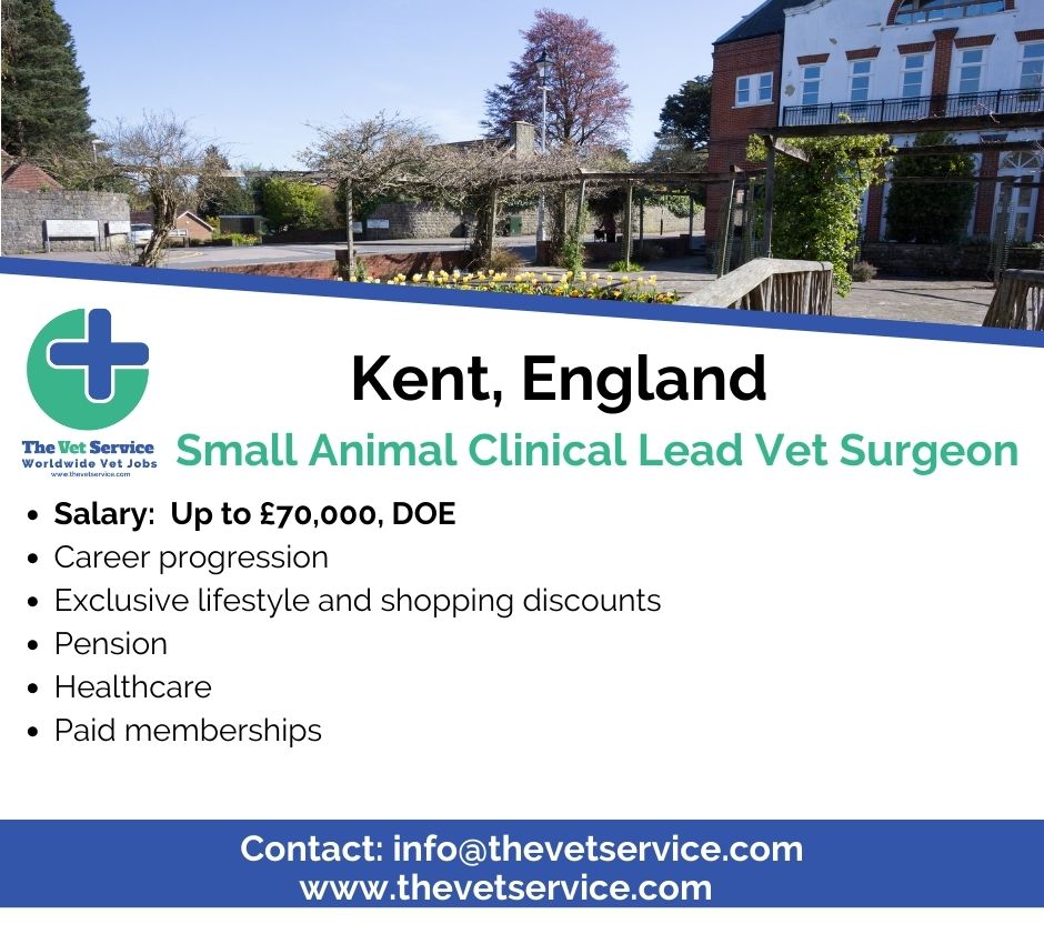 Small Animal Clinical Lead Vet Surgeon in Kent,  England🐶

thevetservice.com/vet-jobs-engla…

#thevetservice #vetstudents #vet #veterinarymedicine #veterinarysurgeon #vetlifestyle #vetlife #vetlocum #vetjob #vetjobs