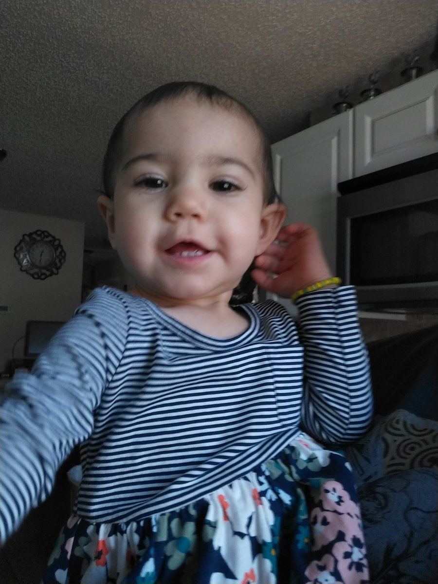 DanielRx85's tweet photo. Hard to imagine I've kept her alive for this long. I've had gigapets that never made it this far. But then again, I couldn't have done it without any help. Happy 1st birthday Autumn!! https://t.co/TFeKh5tkcO