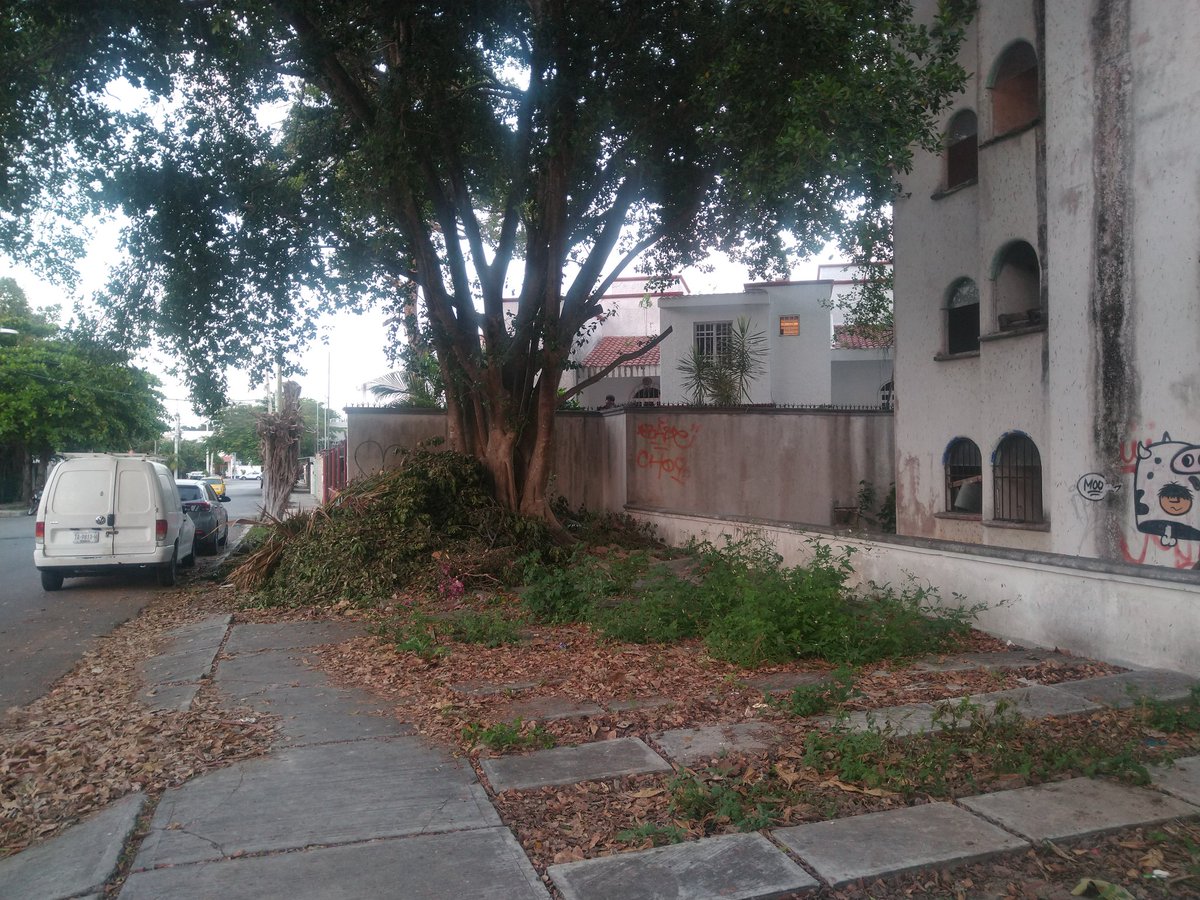 <a href="/anapatyp/">Ana Patricia Peralta</a> Está es la propuesta para edificios abandonados en SM47, Bacalar y Cozumel, con la limpieza y mejora de imagen urbana,se evitara la delincuencia, que tiren basura y sea refugio de malvivientes o indocumentado, solo es concretar está accion. <a href="/novedadesqroo/">Novedades de Quintana Roo</a>