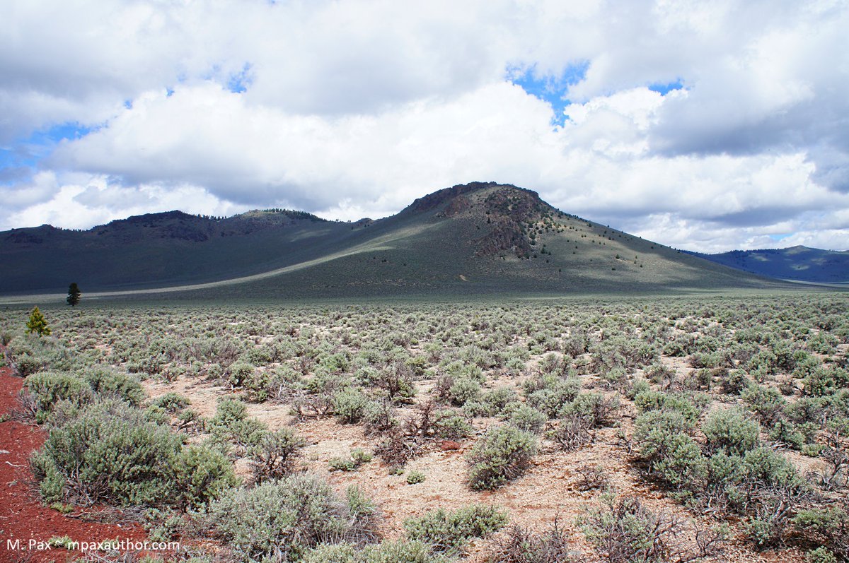 mpax1's tweet image. Moody Central Oregon
#NaturePhotography #photooftheday #exploreoregon