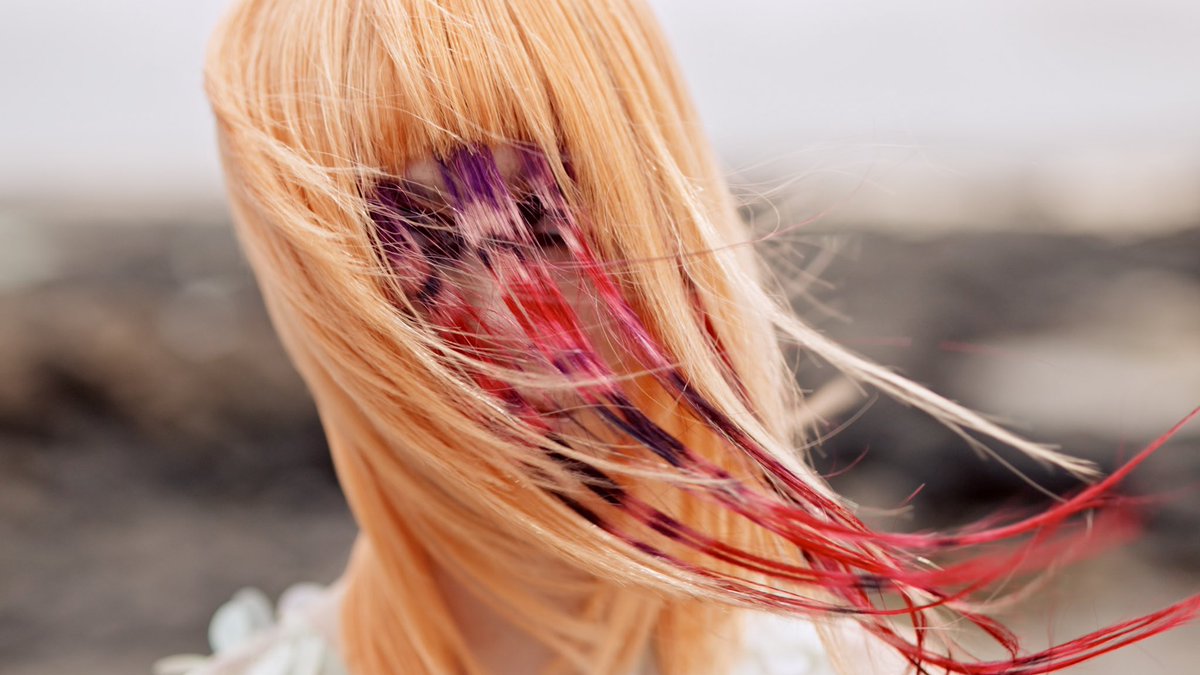 Flywus Studios tweet media