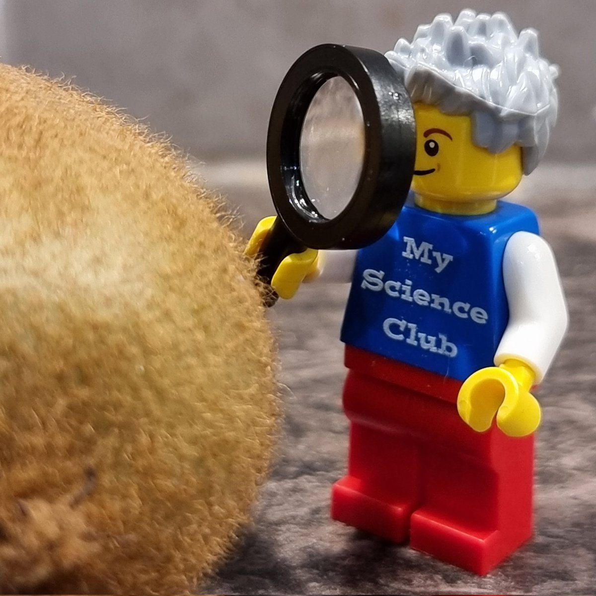 My_ScienceClub's tweet image. Another busy #BSW23 for My Science Club's MiniPaul today. Getting #upcloseandpersonal with the contents of the kitchen...
