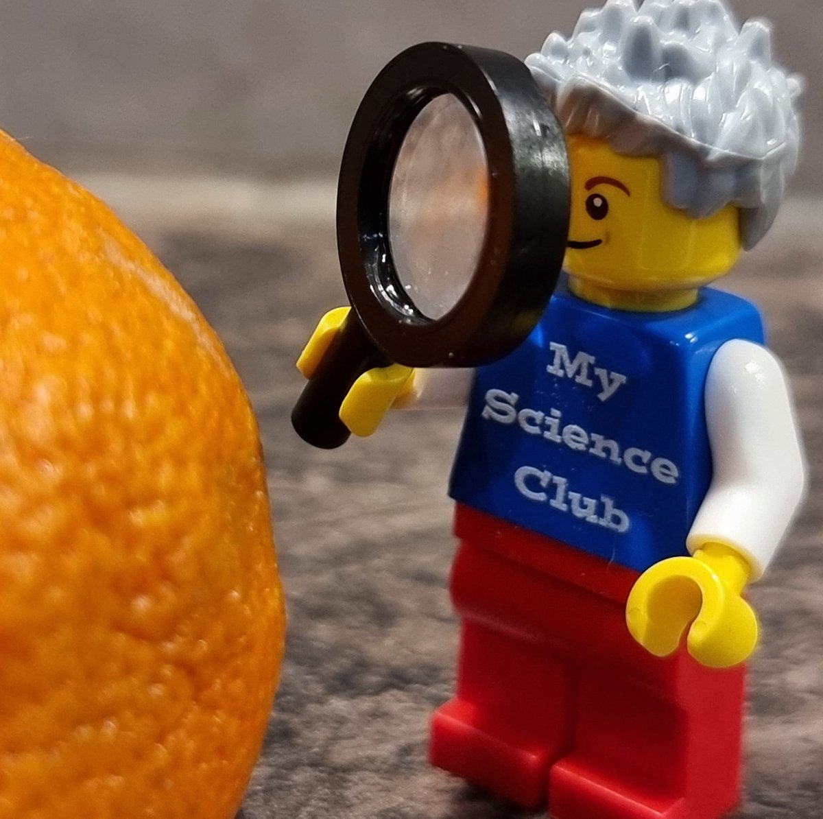 My_ScienceClub's tweet image. Another busy #BSW23 for My Science Club's MiniPaul today. Getting #upcloseandpersonal with the contents of the kitchen...