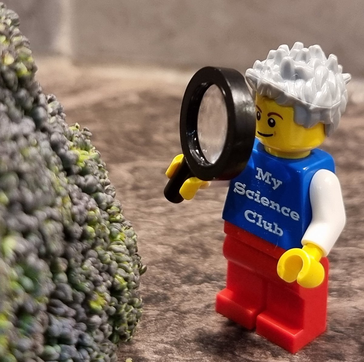My_ScienceClub's tweet image. Another busy #BSW23 for My Science Club's MiniPaul today. Getting #upcloseandpersonal with the contents of the kitchen...