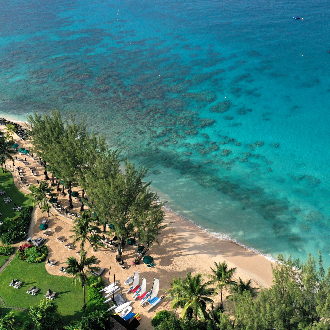 Coral_Reef_Club's tweet photo. Today's forecast: 29ºC and heavenly ☀️
#coralreefclub #escapetoparadise #visitbarbados #luxuryhotel #caribbeangetaway #darlingescapes #caribbeanluxury https://t.co/E0HXNGhURw