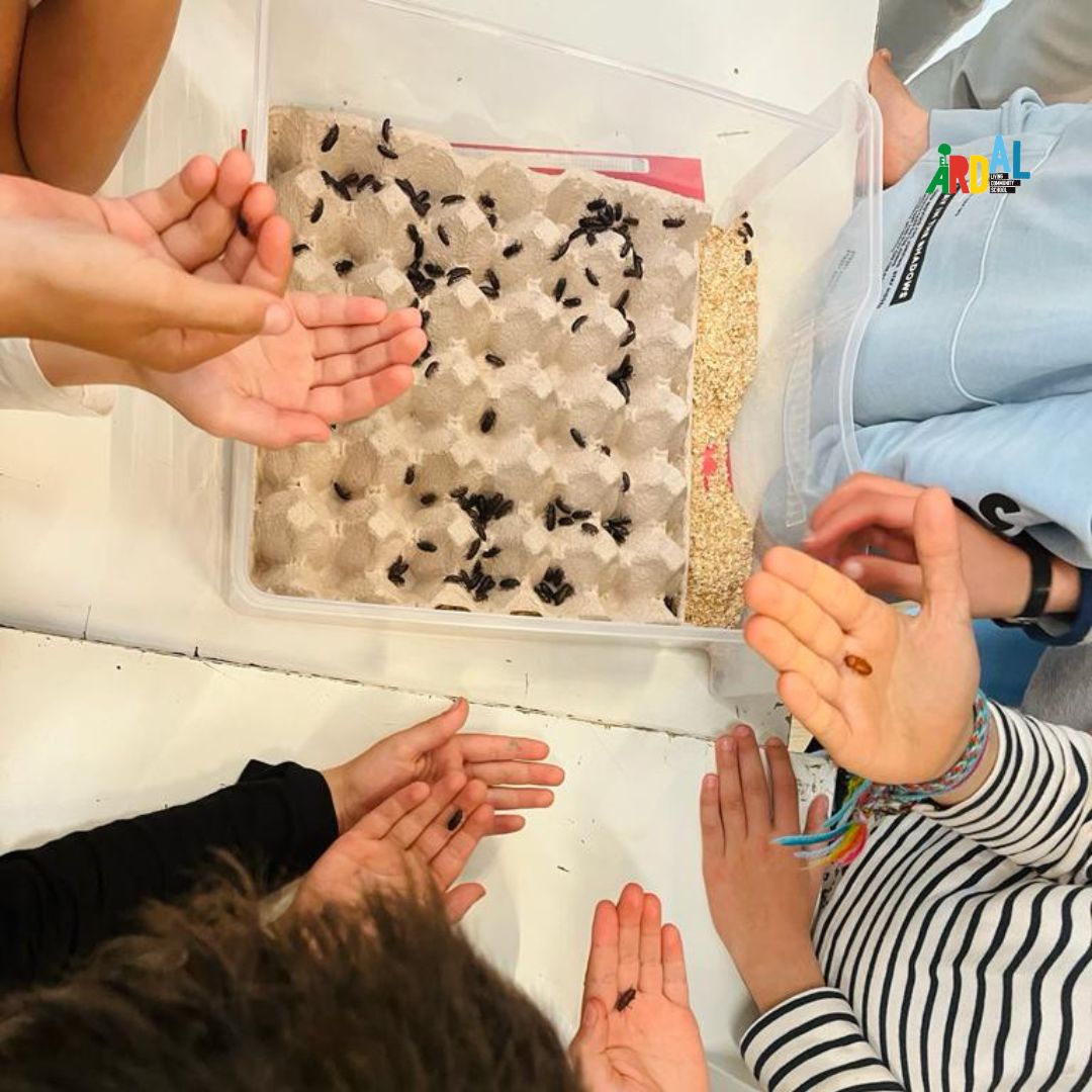 Insectalia tweet media