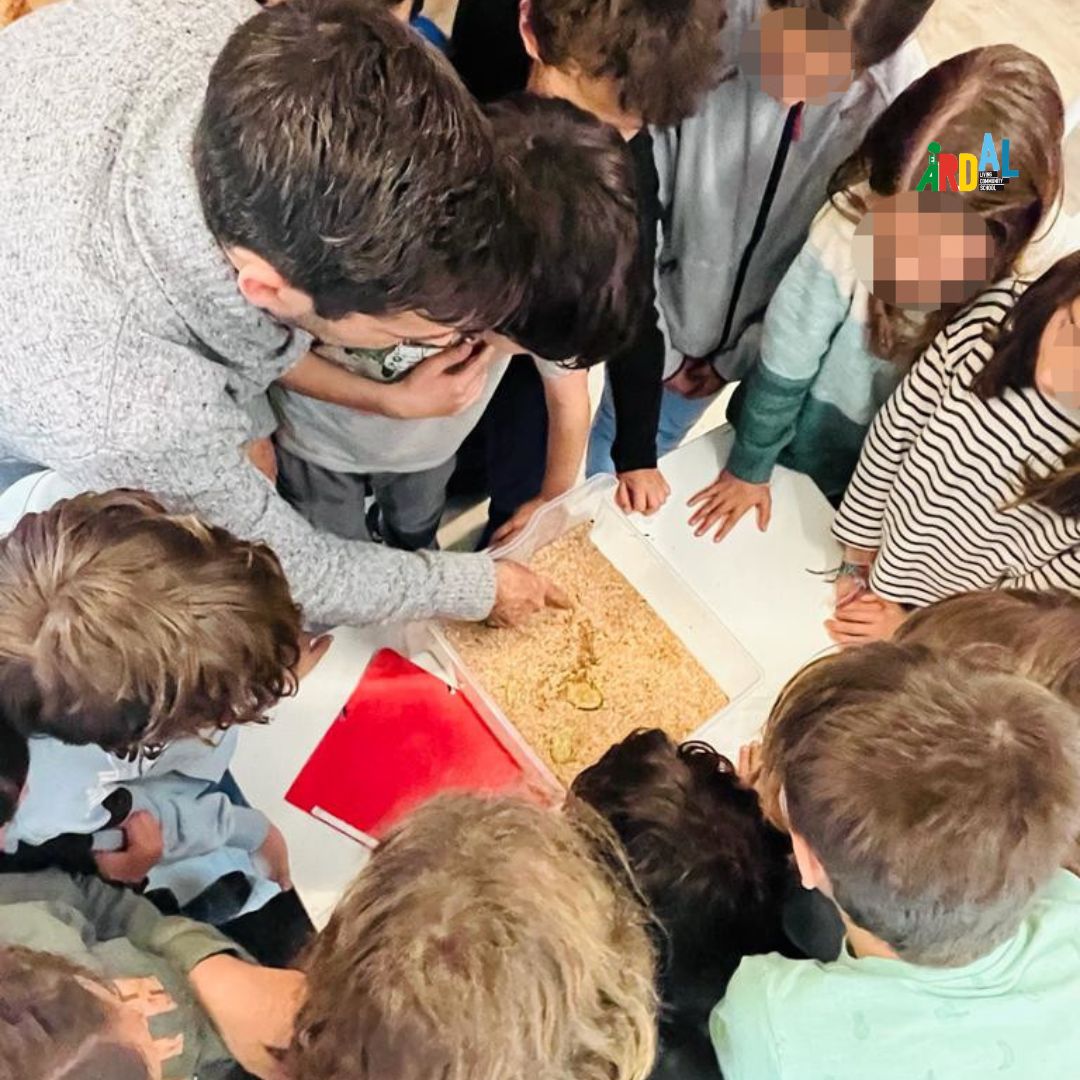 Insectalia tweet media